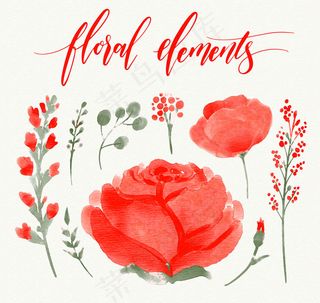 玫瑰花卉和树叶