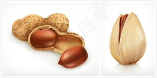 开心果花生矢量