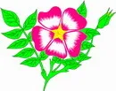 花朵鲜花_488eps,ai矢量模版下载