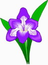 花朵鲜花_365eps,ai矢量模版下载