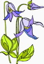 花朵鲜花_207eps,ai矢量模版下载