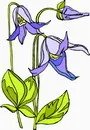 花朵鲜花_207eps,ai矢量模版下载