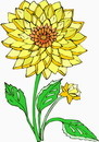 花朵鲜花_110eps,ai矢量模版下载