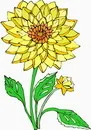 花朵鲜花_110eps,ai矢量模版下载