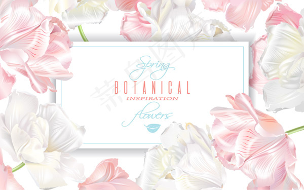 郁金香装饰卡片