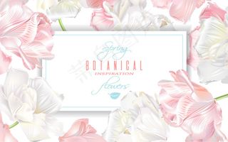 郁金香装饰卡片