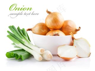 洋葱与葱