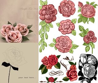 玫瑰花创意设计