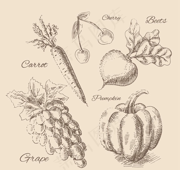 手绘水果和蔬菜菜