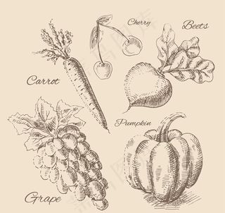 手绘水果和蔬菜菜