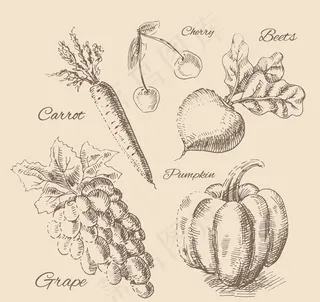 手绘水果和蔬菜菜
