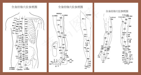 穴位经络参照图ai矢量模版下载