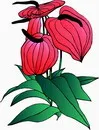 花朵鲜花_123eps,ai矢量模版下载
