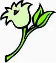 花朵鲜花_913eps,ai矢量模版下载