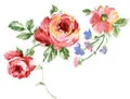 PSD精美花纹_79psd模版下载