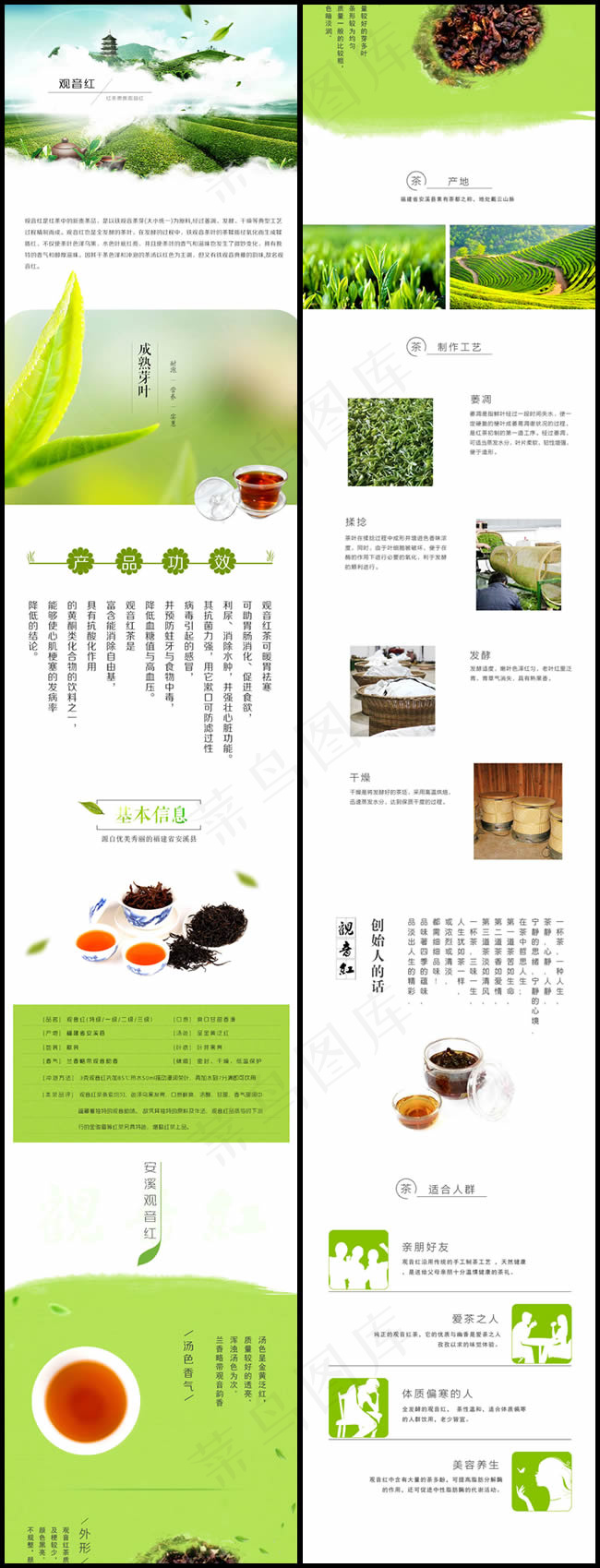 淘宝铁观音红茶psd模版下载
