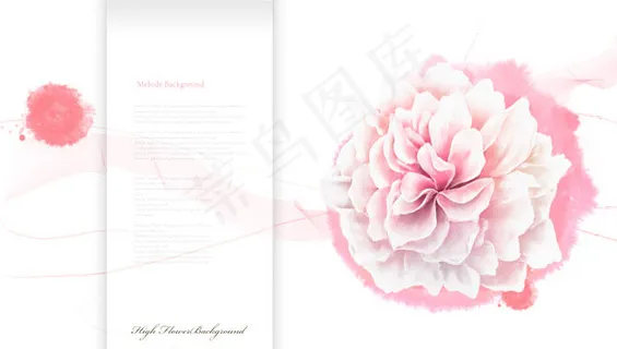 花朵与喷溅图案