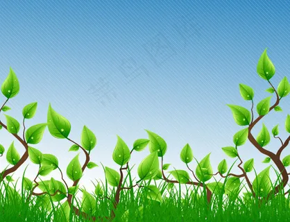 绿色的植物矢量 绿色的植物矢量
