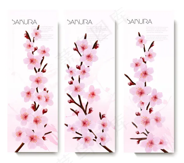 春季樱花bannereps,ai矢量模版下载