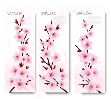 春季樱花banner