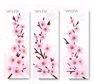 春季樱花banner