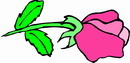花朵鲜花_837eps,ai矢量模版下载