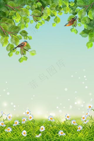 小鸟植物背景