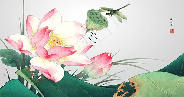 典雅荷花工笔画 典雅荷花工笔画