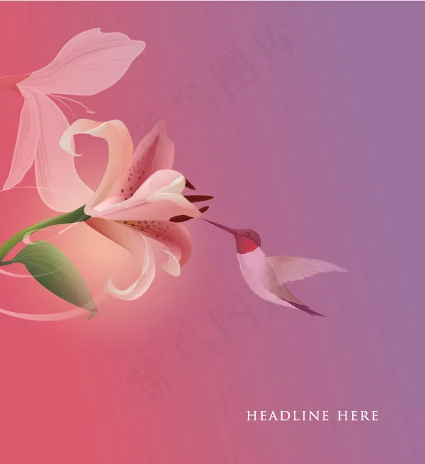百合花与蜂鸟eps,ai矢量模版下载