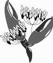 花朵鲜花_1074eps,ai矢量模版下载