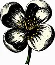花朵鲜花_408eps,ai矢量模版下载