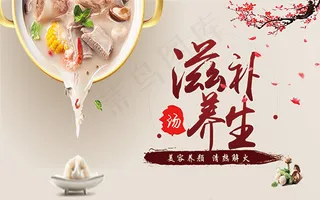 中国风养生海报