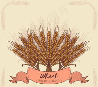 手绘麦束设计