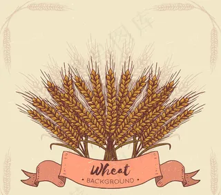 手绘麦束设计
