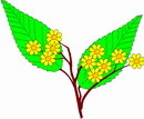 花朵鲜花_456eps,ai矢量模版下载