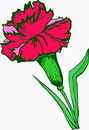 花朵鲜花_405eps,ai矢量模版下载