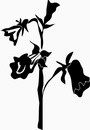 花朵鲜花_1141eps,ai矢量模版下载