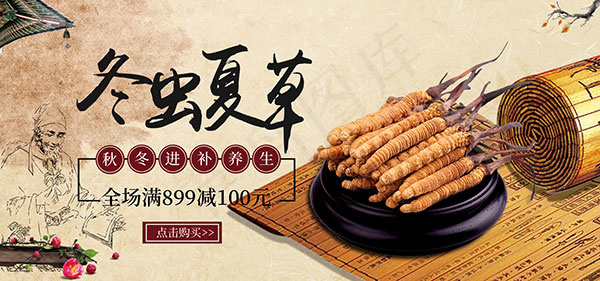 淘宝冬虫夏草促销psd模版下载