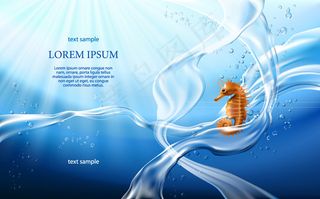 海底海浪和海马