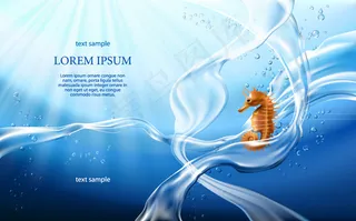 海底海浪和海马