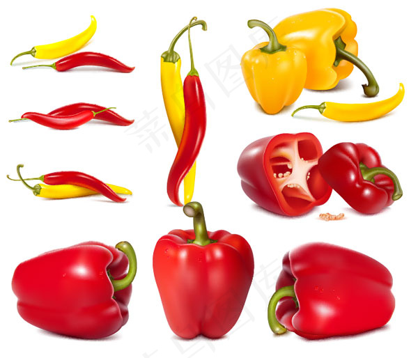 辣椒灯笼椒矢量