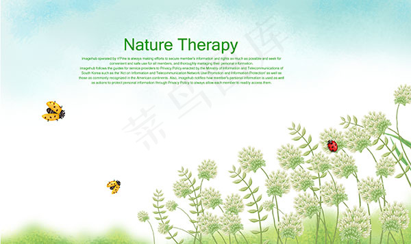 瓢虫与花卉插画