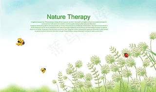 瓢虫与花卉插画