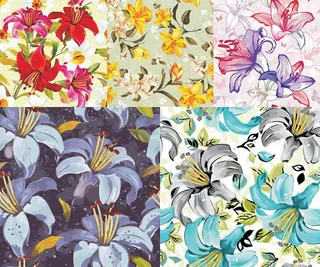 手绘百合花矢量