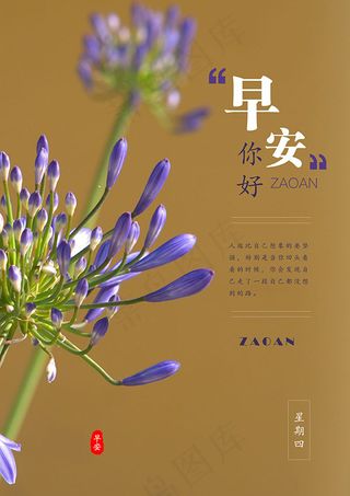 星期四早安你好