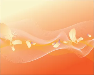 柔和线条与羽毛