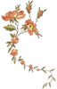 PSD精美花纹_2psd模版下载