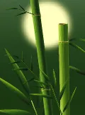 矢量竹子