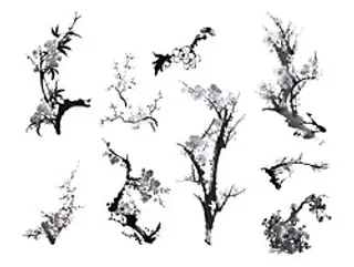 国画水墨桃花梅花