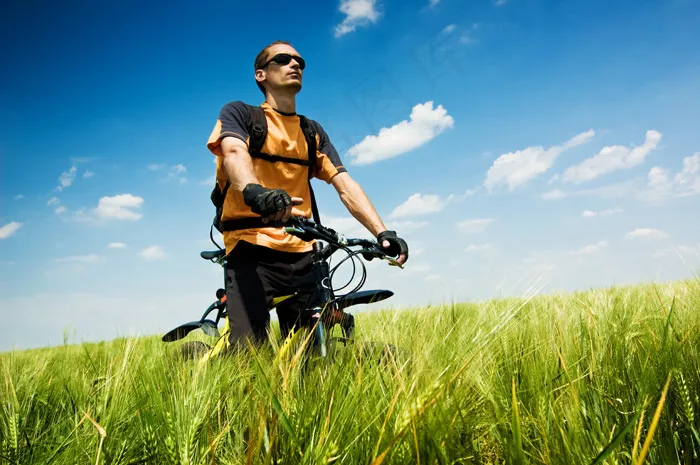 麦田与自行车手